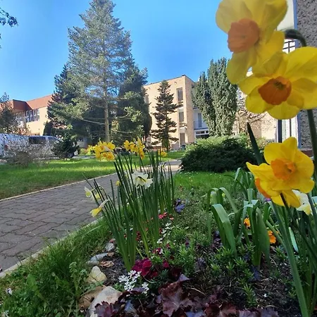 Ferienpark Osrodek Wczasowy Wrzos *