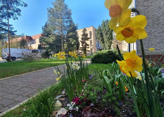 Aldeamento Turístico Osrodek Wczasowy Wrzos *