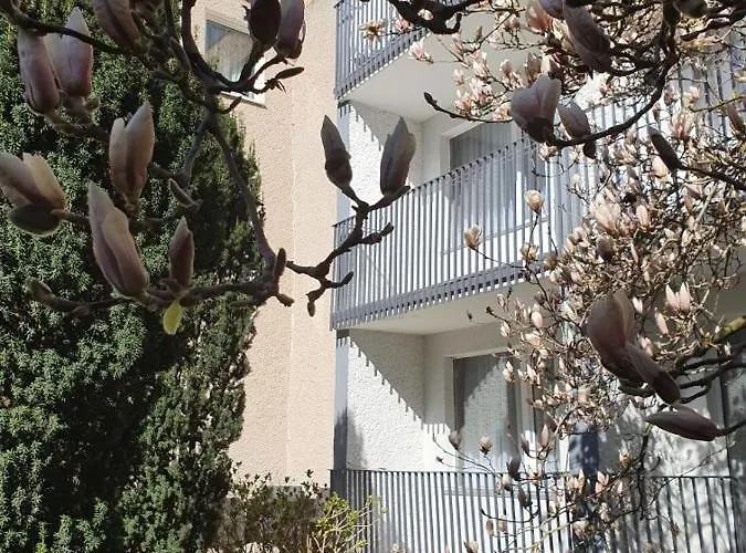 Osrodek Wczasowy Wrzos Aldeamento Turístico *